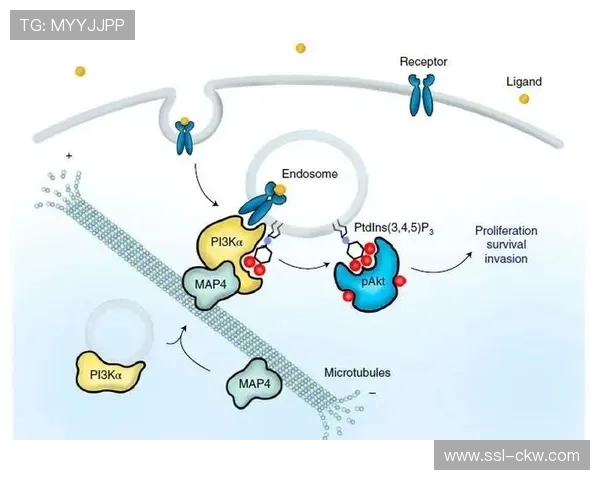 多物理链路备份机制在当前阶段得到强化 夯实了信号传输的安全防御